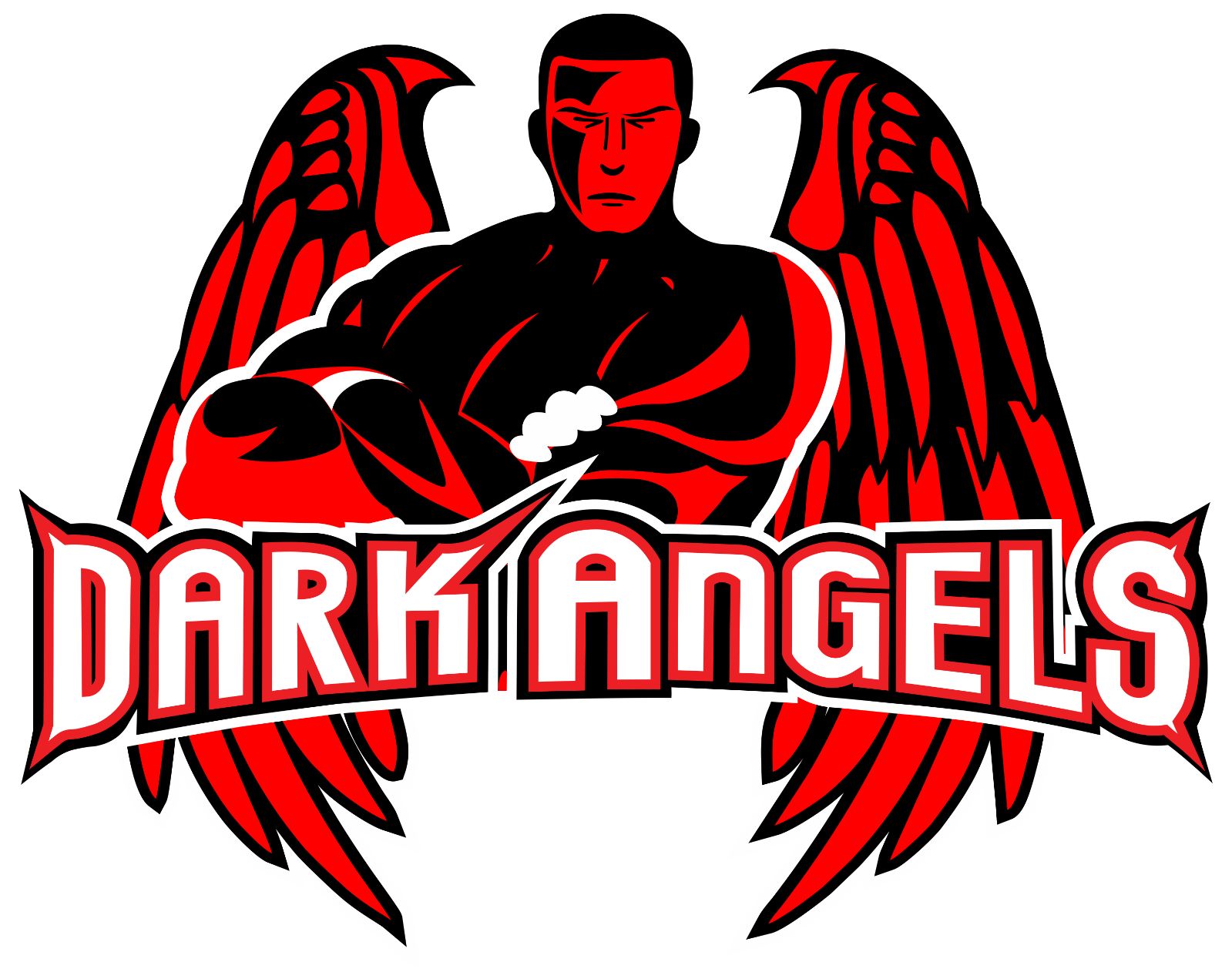 FLJ+Dark+Angels+Logo+neu+2.jpg